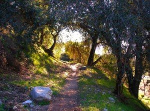 hahamonga park in pasadena