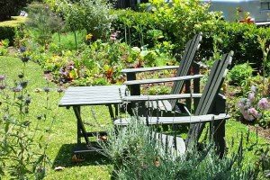 A home vegetable garden in Pasadena (Photo - Staff).