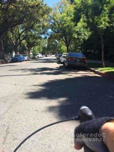 A person's perspective ona bike