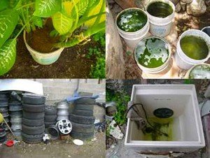 poyts and water buckets