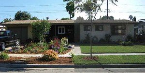 a lawn shown after invasive plants are removed