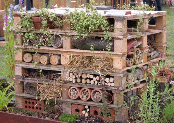 Wildlife trust insect hotel (Photo - Jean Sudbury).