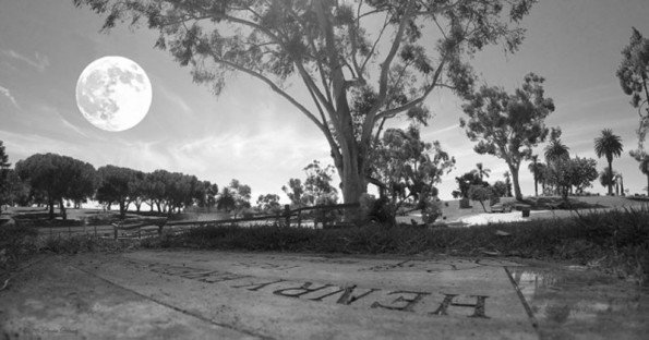 a photo of a supermoon next to a tree