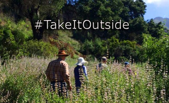 People walking in a grassy field