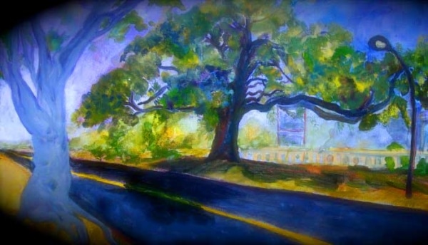 Tcolorful trees by a road