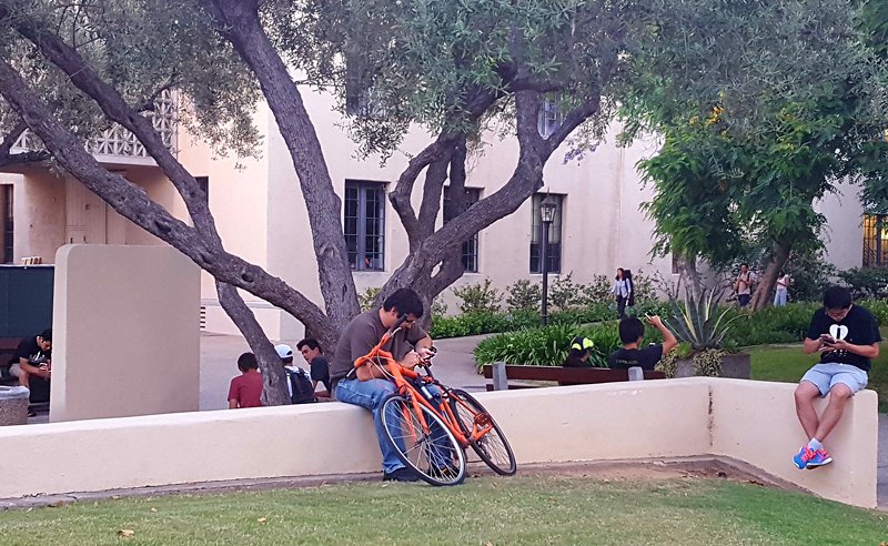 Polemon GO craze hitting campuses all over the U.S. - Caltech (Photo - Staff).