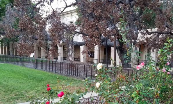 "Better Days" by Kathabela Wilson.