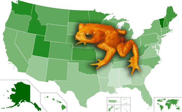 a frog on the map if the U,S,