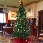 Fenyes Mansion Main Christmas tree (Photo - Staff).