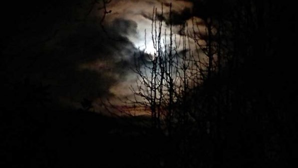 Moon (Photo - Gail Radice).