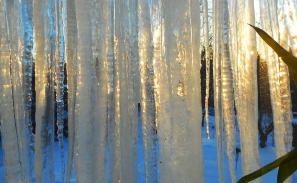 Sunset through icicles (Photo - Tom Clausen).