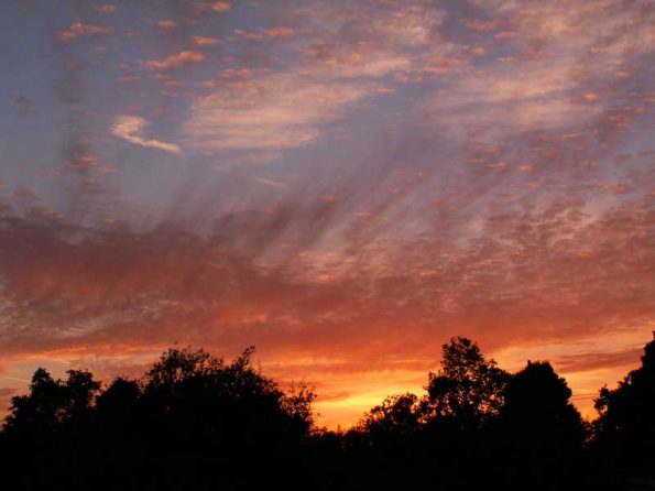 After the fire (Photo - Marcyn Del Clements).
