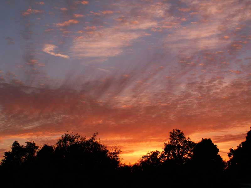 After the fire (Photo - Marcyn Del Clements).