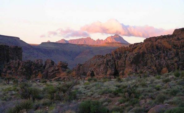 Mojave Desert (Photo - Michael Czarnecki​).