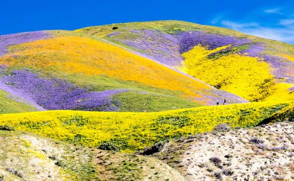 Will this place still be Carrizo Plain National Monument (Photo - Bureau of Land Management California, flickr).