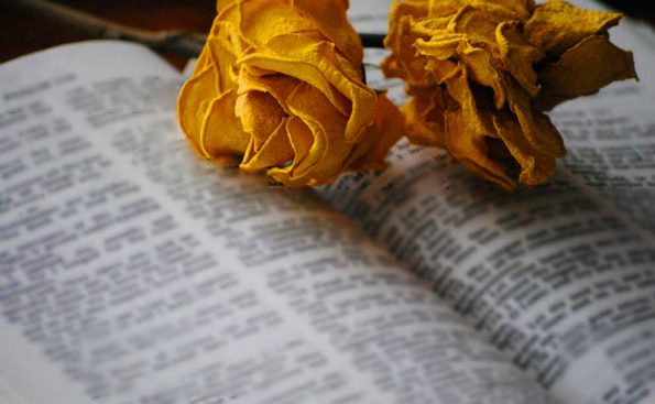 Book Speed Dating (Photo - lailajuliana, pixabay).