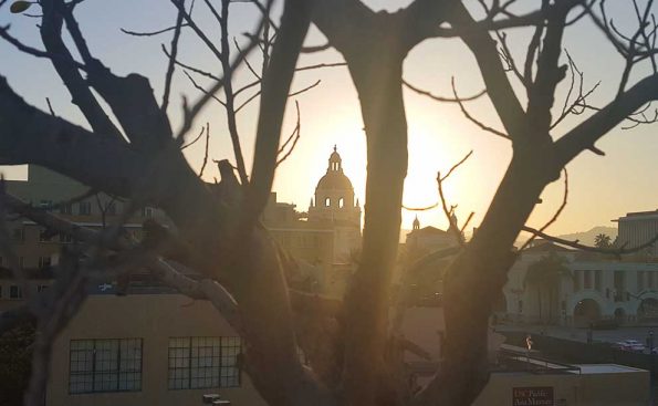 sunset through trees