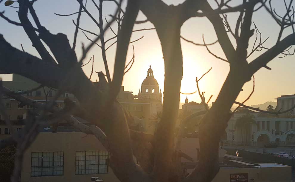 sunset through trees