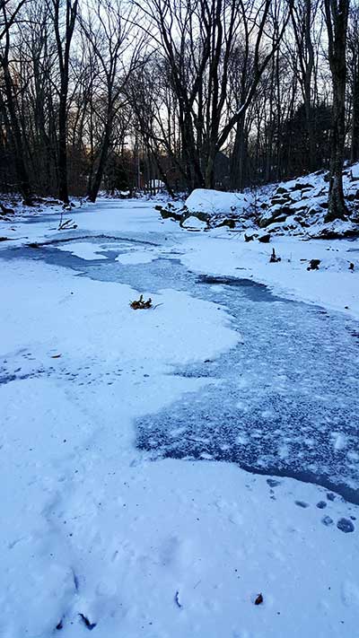 Beneath the surface of ice (Photo - Kat Lehmann Blount).