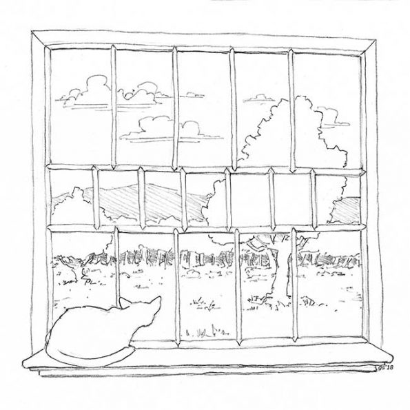 Thoughts-for-Pennies cartoon,-6-24-18