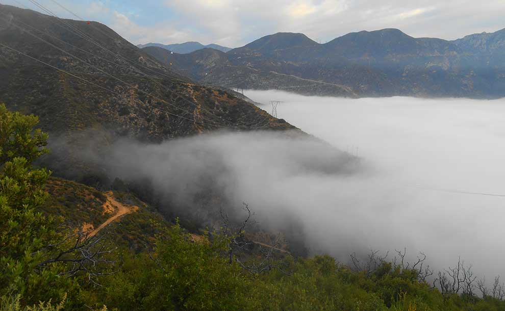 View from the Mt. Lukens fire road a mile from the trailhead on Angeles Crest Highway (Photo - Reg Green).