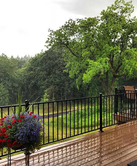 A view of the rainfall (Photo - Margo Williams).