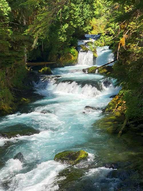 Oregon's Mackenzie River (Photo - Tzetzka Ilieva).