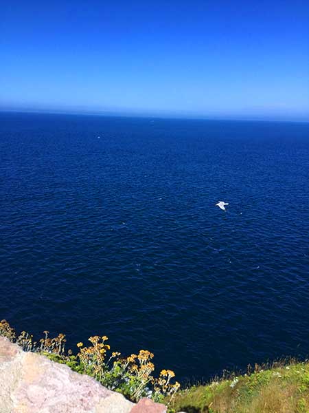 Power of water (Photo - Natalia Kuznetsova).