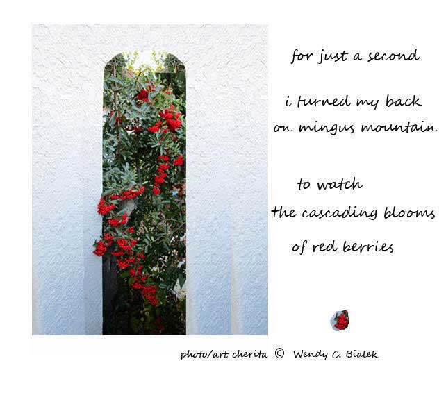 haiga-(cherita-and-image) by Wendy Bialek