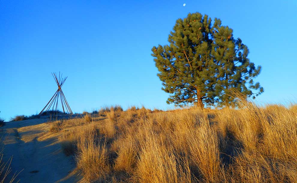 The framework of the much-loved tepee, just off the Mt. Lukens fire road, overlooks the entire Los Angeles basin (Photo - Reg Green).