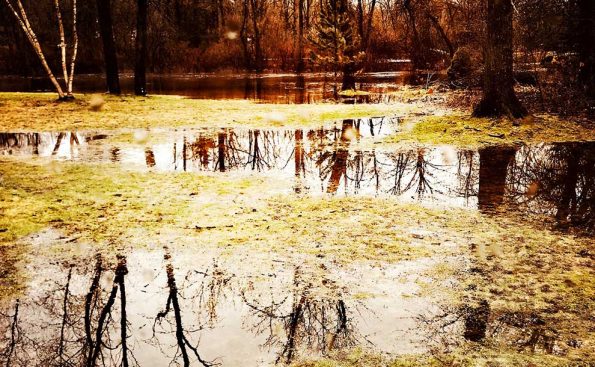 Melting-together-(Photo-Marilyn-Ashbaugh)