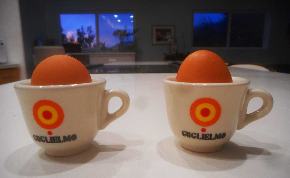 His and hers (Photo - Reg Green)