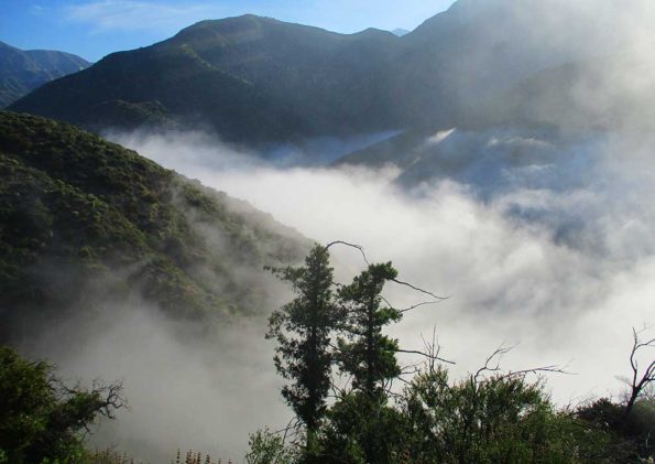 A mist is overcoming the cabyons