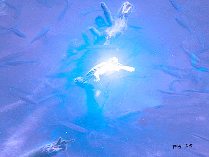 An abstract art simulating underwater