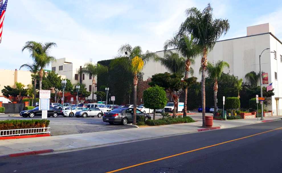 A parking lot with cars and few palm trees