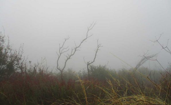 Mist and fog in the mountains