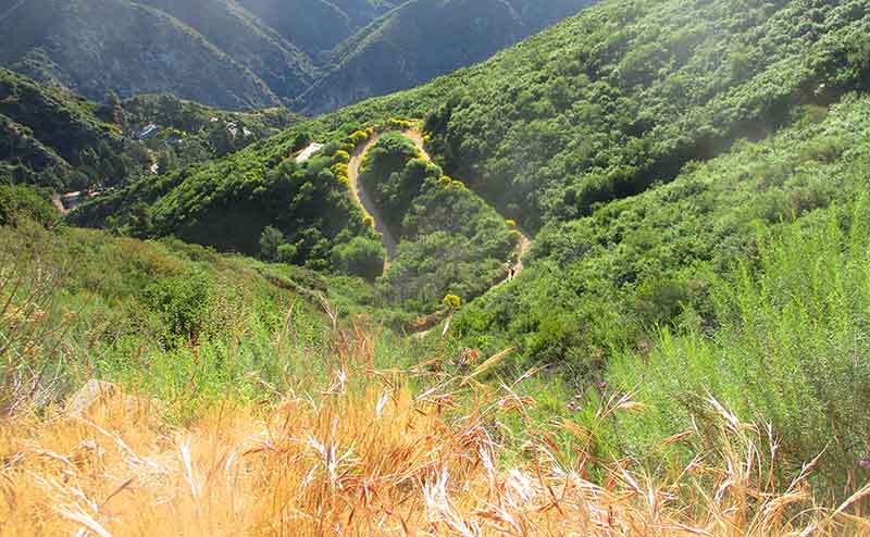 A small figure of a man walking on a fire road in the wilderness