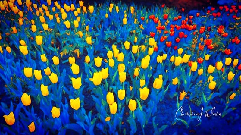 A painting of flowers of many colors