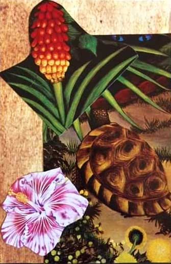 Collage of a pineapple, a turtle and a flower
