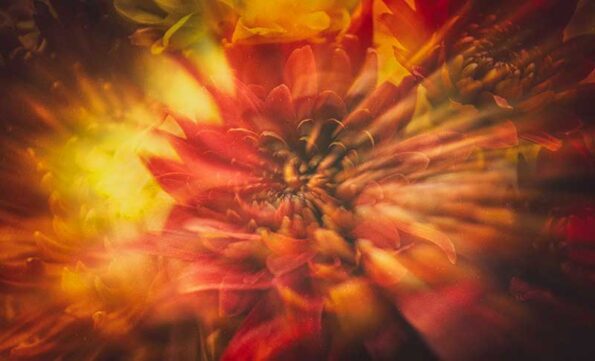 a colorful explotion