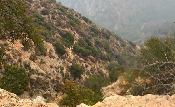 dry vegetation in hills