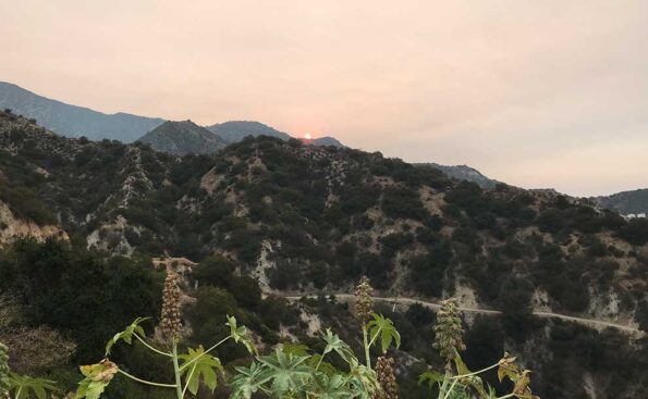 sun colored red becaue of nearby fires