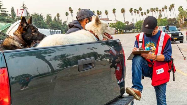 two dogs and owner being assisted by a Red Cross volunteer
