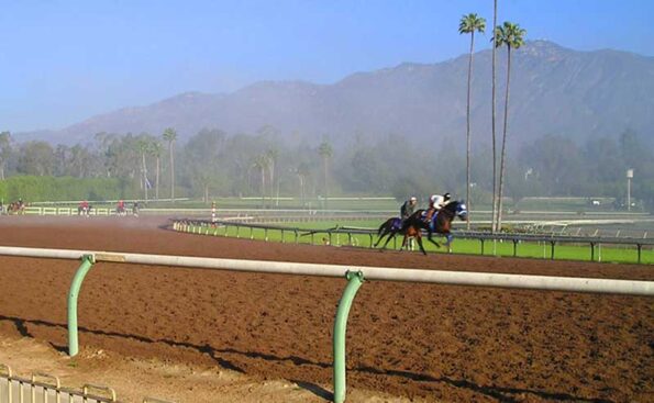 2 horses race on a dirt track