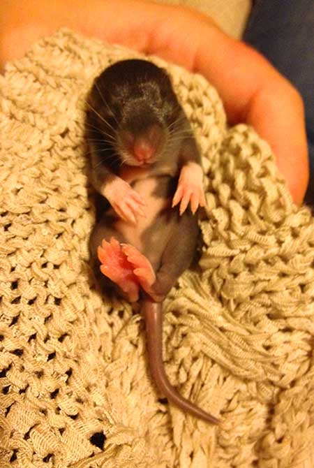 Knitting for the unexpected (Photo - pxhere.com).