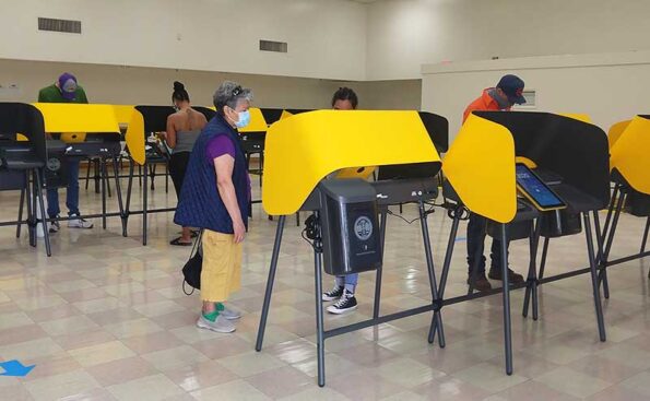 people voting behind yellow booths