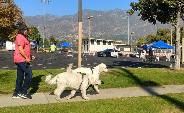 a man walking his dog maskless