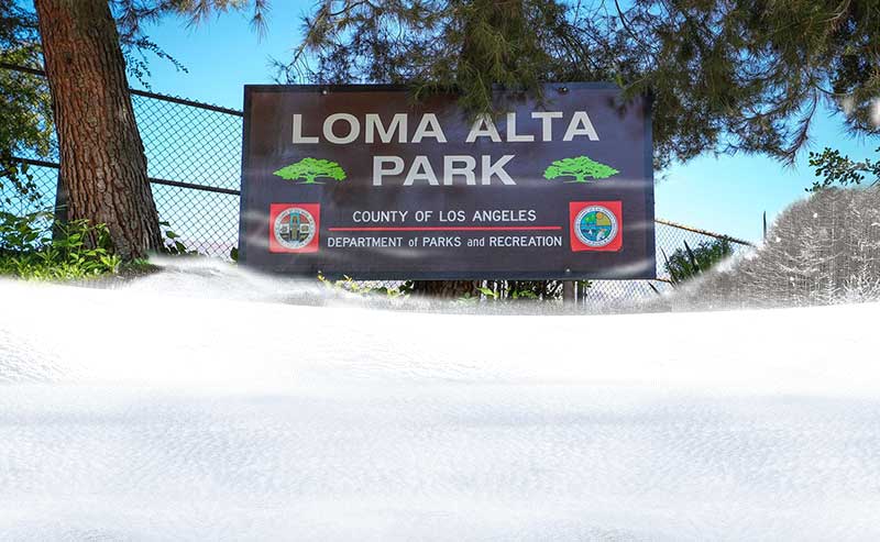 snow covering a sign