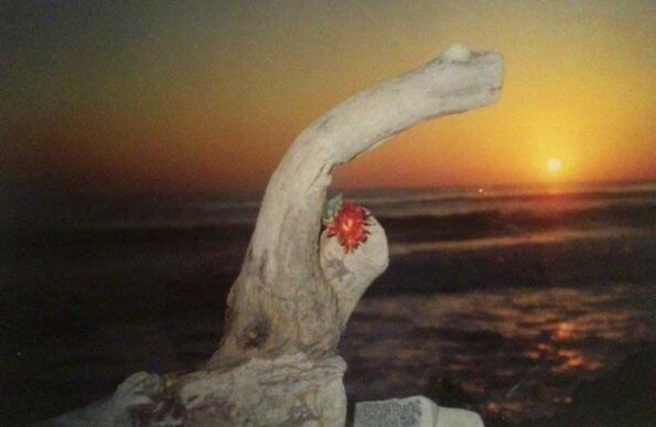 A sculpture at beach during sunset