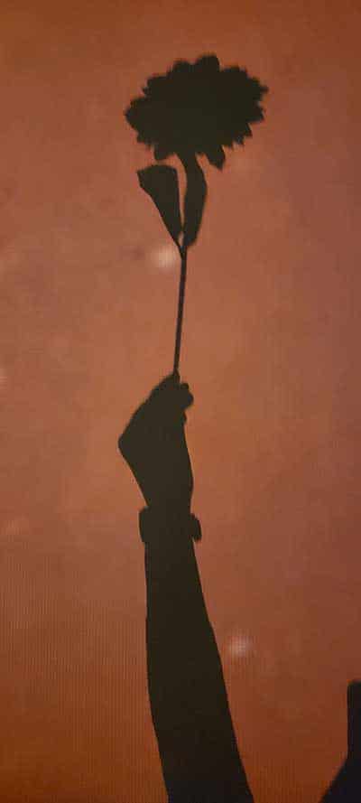 A hand raising a flower